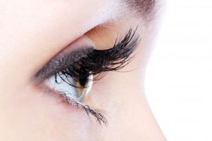 woman's Eyelashes 